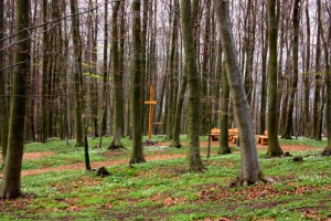 Gut-panker-2-300x200 in 